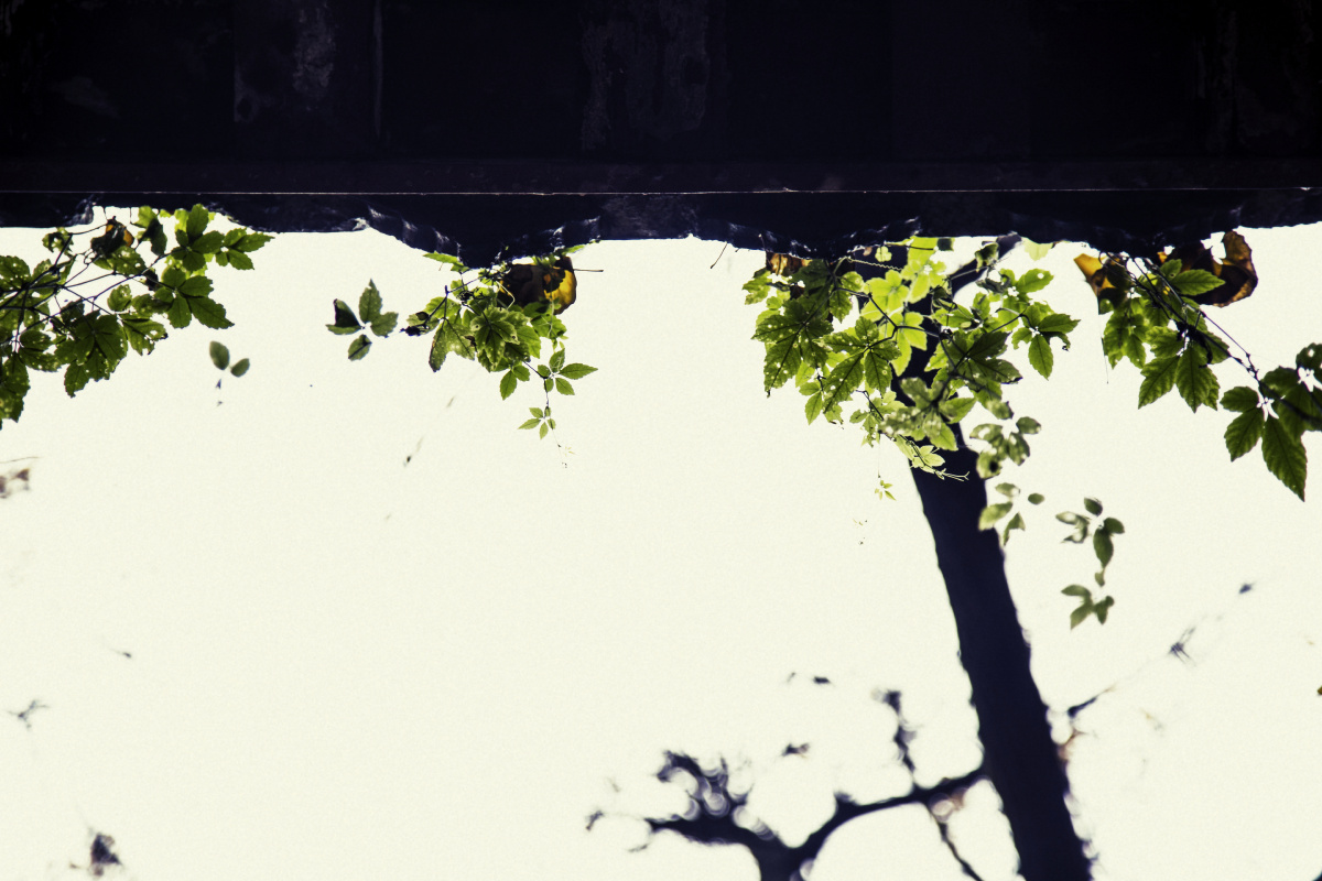 佛本无相,万相由心.是什么意思啊?-无相无无相