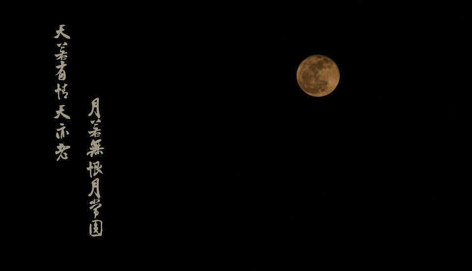 求天若有情天亦老,月若无恨月长圆的英文翻译