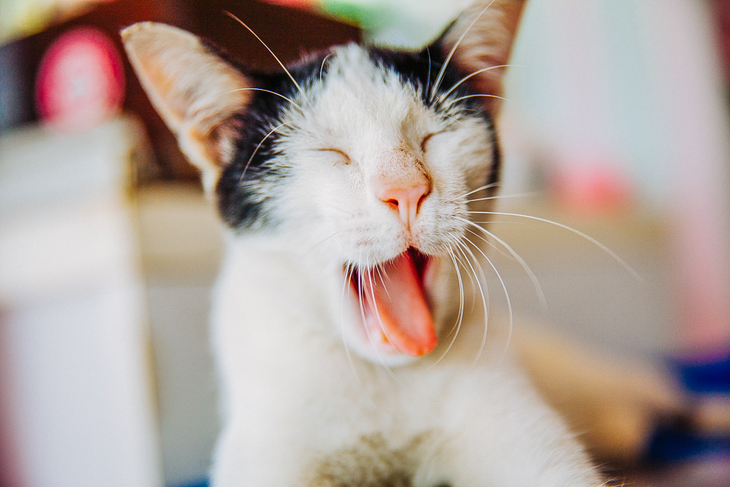 伟德国际产品资讯_硬件推荐