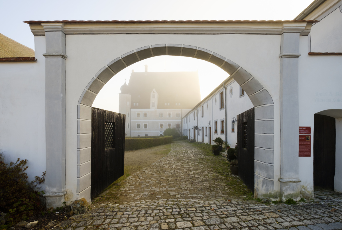 牛头梗一组 - 上海, 佳能, 宠物, 狗, 牛, 梗, 牛头,