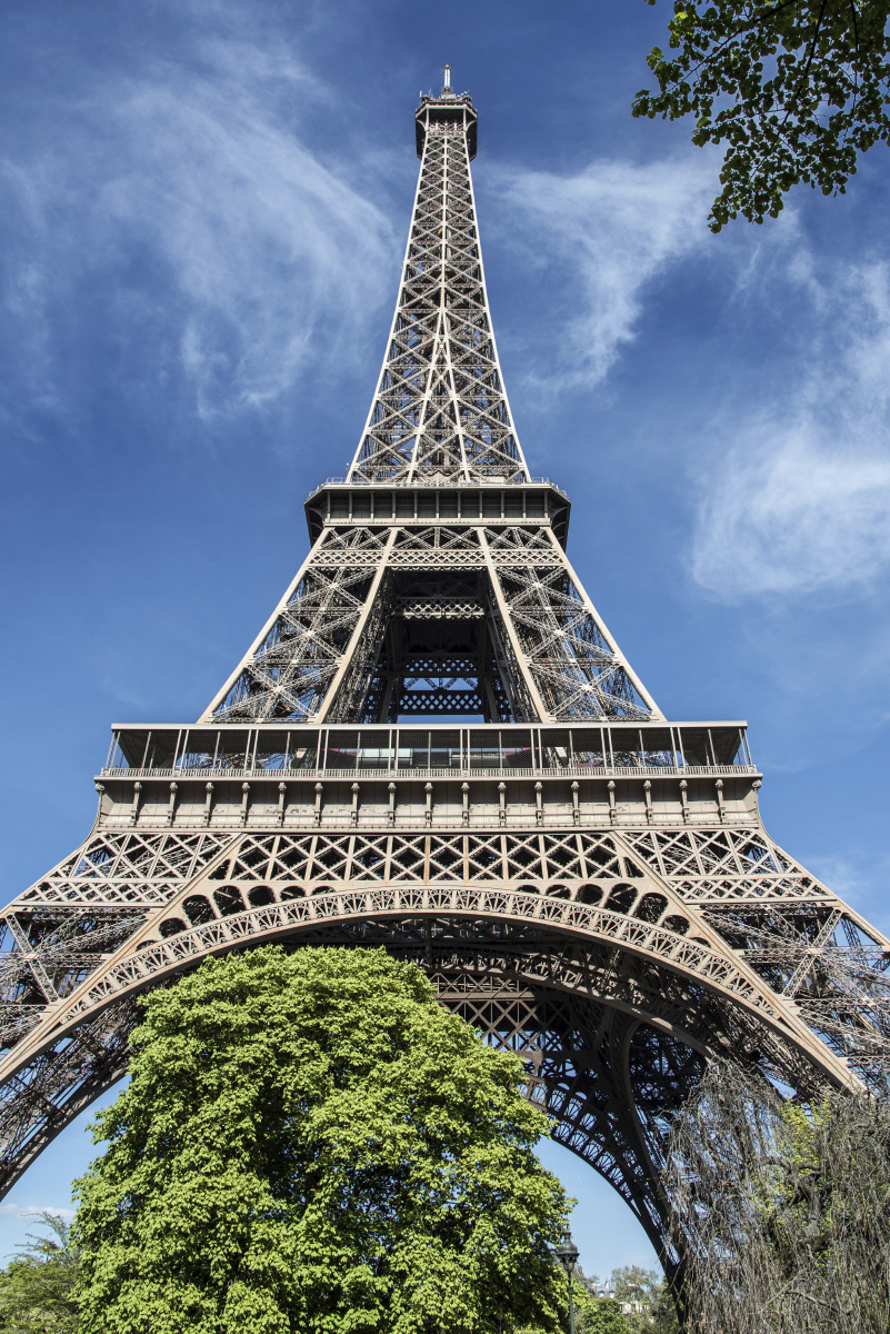 忠犬八公--秋田犬 - 上海, 佳能, 狗, 宠物 - 榛果宠