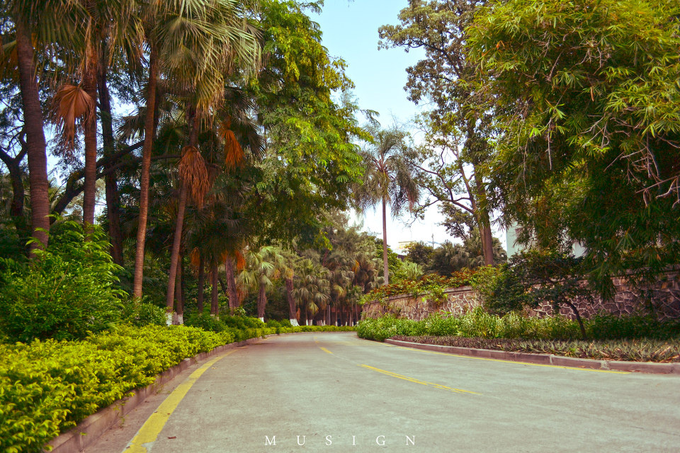 广州暨南大学校园+-+大学