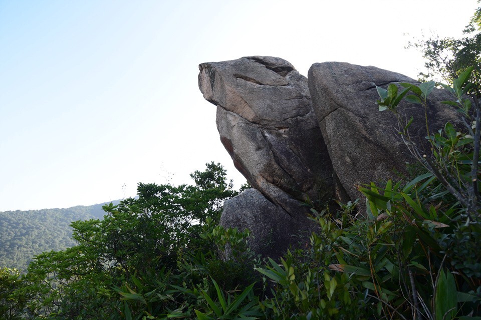 dsc_0035 近赏青蛙石