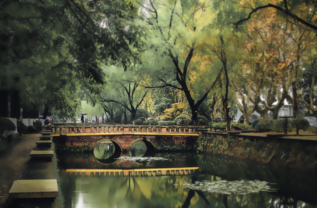 季节的桥 - 上海, 同济大学, 校园, 自然, 宾得, 同济