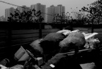 等待蜕变