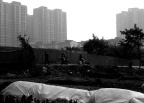 醉眼中的城市