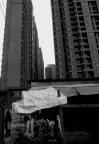醉眼中的城市