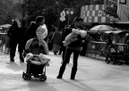 家中有老是个宝