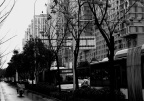 空气中总算还飘一丝丝年味