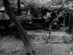 关注