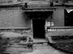 关注
