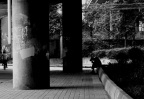 关注