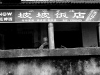 关注