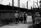 关注
