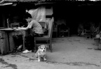 关注