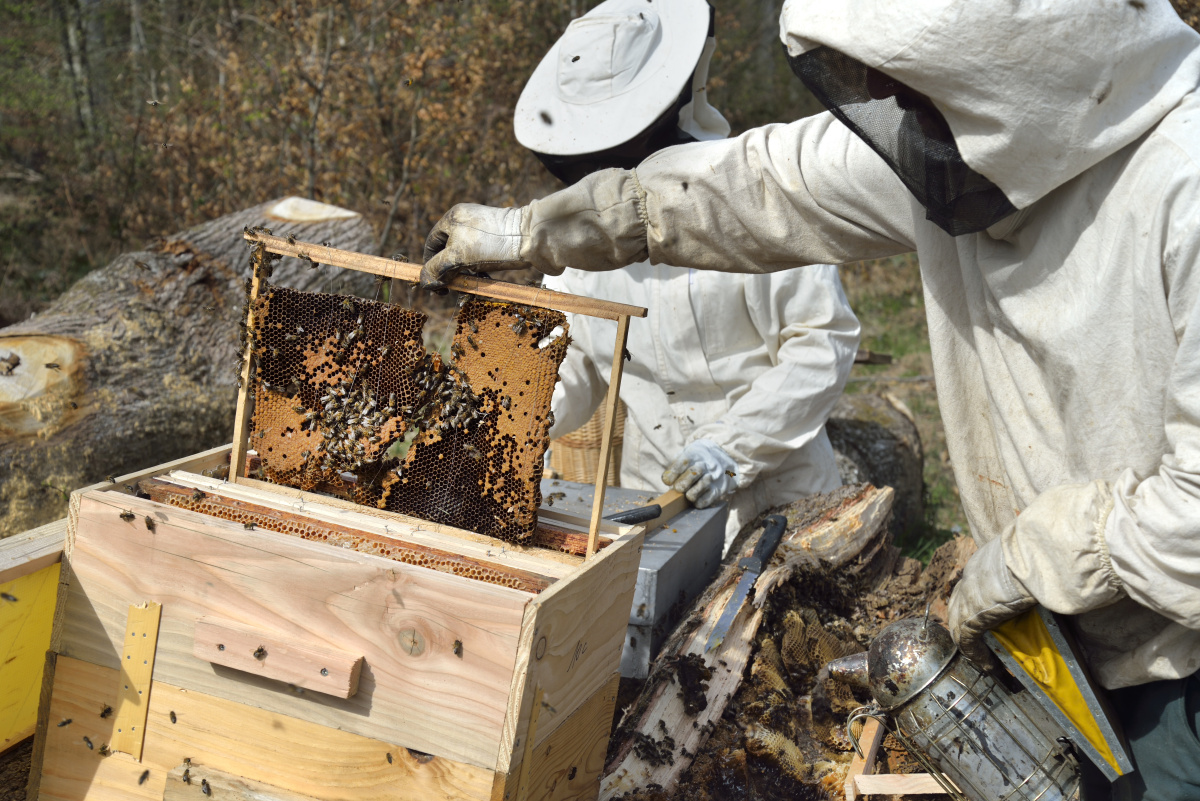 分身乏术+-+lost丶+-+图虫摄影网