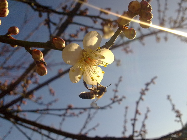 vnm - KELE - 图虫摄影网