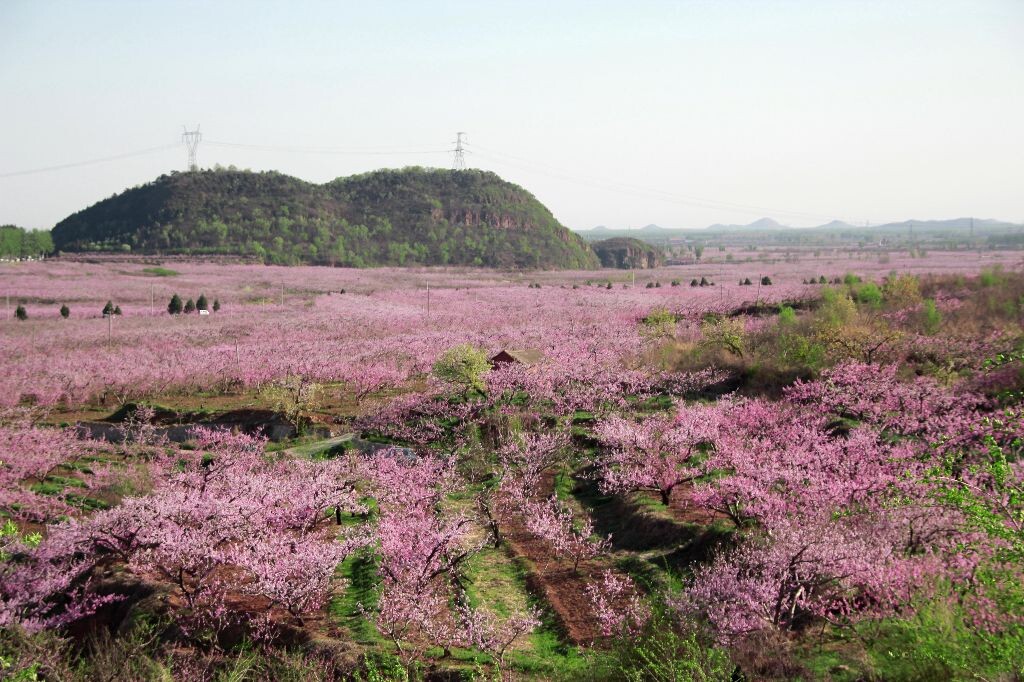 平谷·桃花海