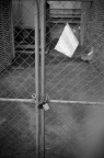 Scan-120507-0028-31