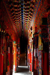 Leica D-LUX 5, 样片, 照片, 图片 - 图虫网 - 做最