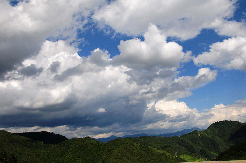 dsc_9573-1 - dido2 - 图虫摄影网