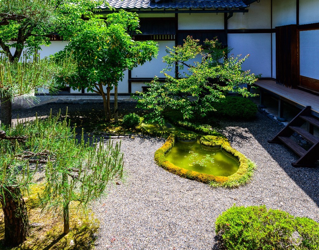 日本四大国宝名城之一的彦根城下的庭院,非常精致的日本小景致