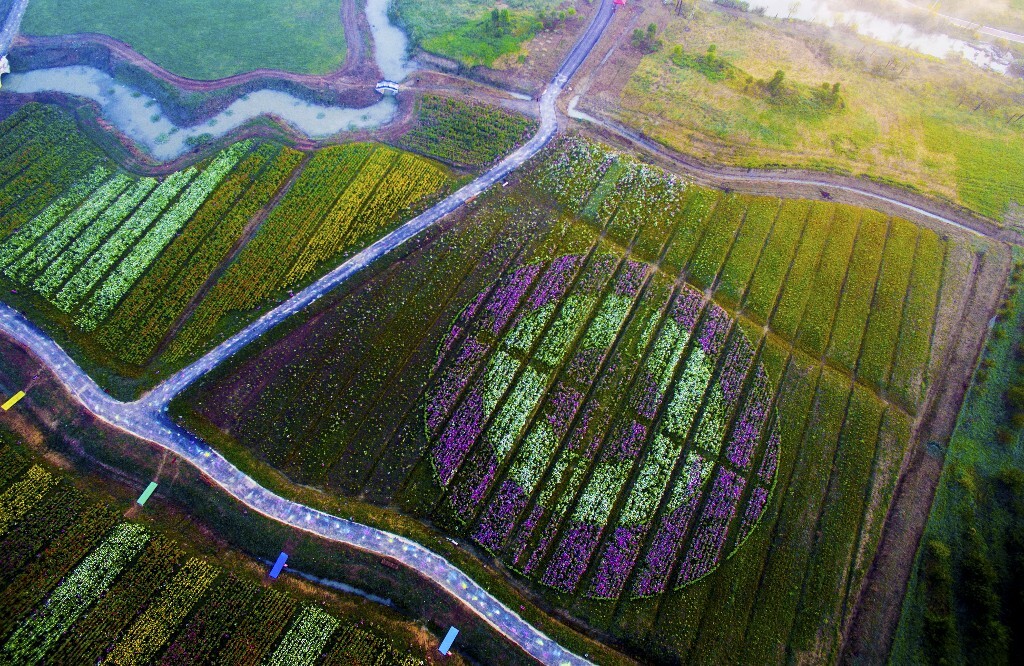 合肥的色彩 - 用一年的时间完成一次关于家乡的