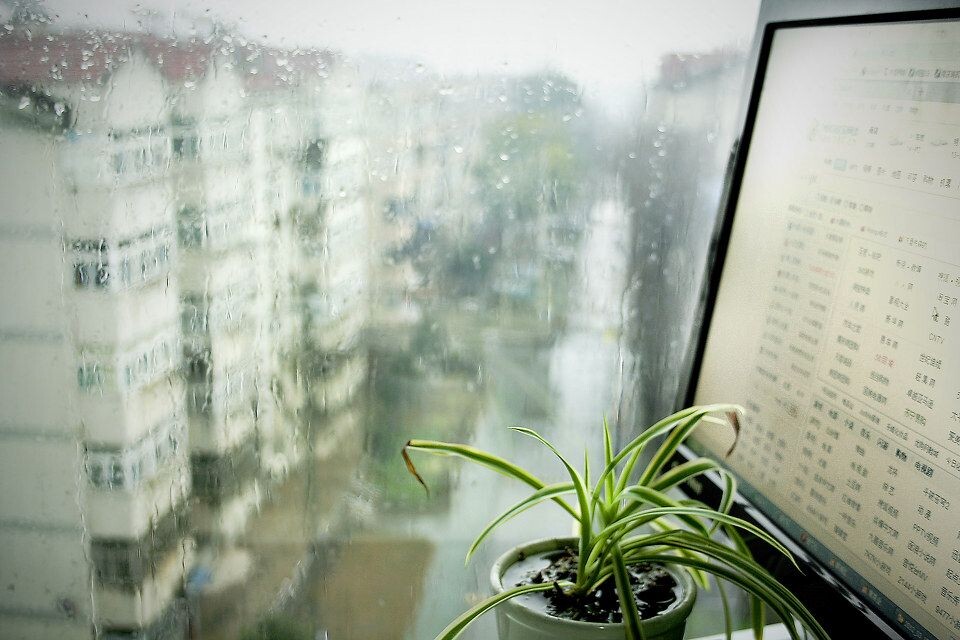 窗外正下着雨 - 春雨, 窗外, 桌前 - 窗外正下着雨