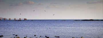 海