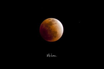 nikon E Series70-210/F4 《红月光》