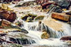 DSC_1962_副本.jpg