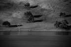 _MG_9754_bw_过犹不及