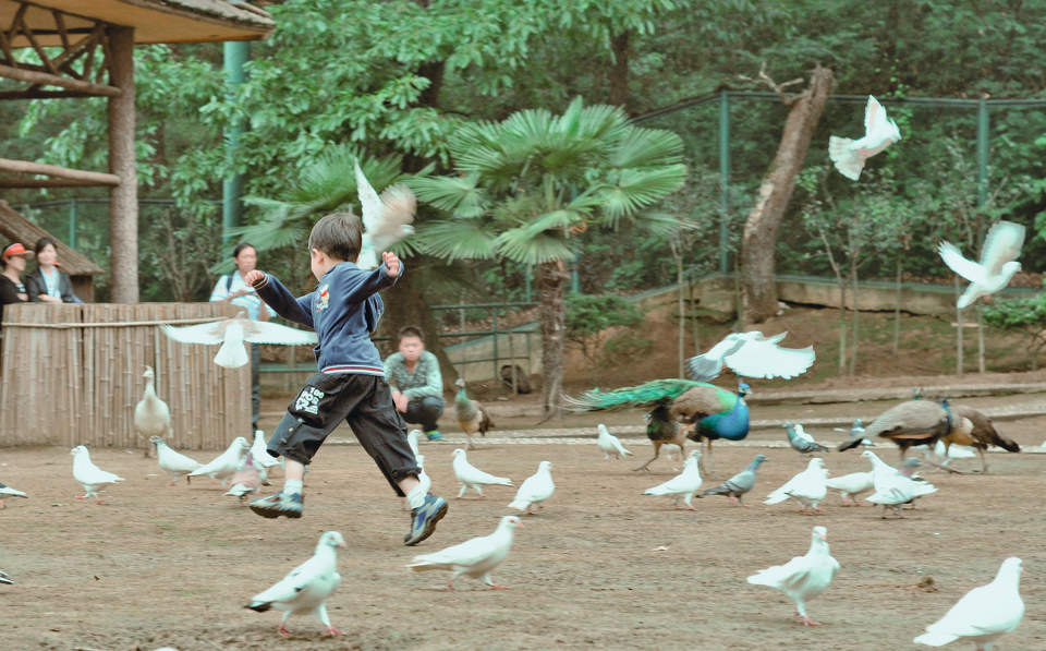 追逐 - 看不尽的茶园 - 浅浅小调