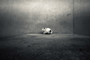 孤独症3.0