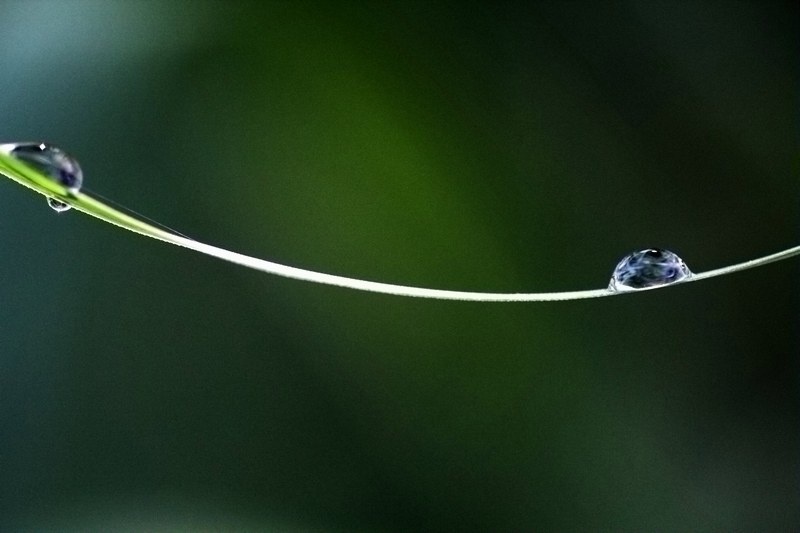 一水一世界 - 色彩, 微距 - 水墨阳光