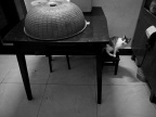R0014415