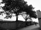 R0014603