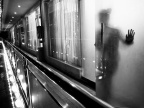 R0015008