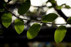 _DSC9156