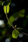 _DSC9161
