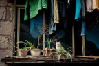 _DSC0036