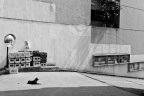_DSC9928