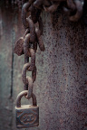 _DSC0001