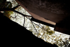 _DSC0007