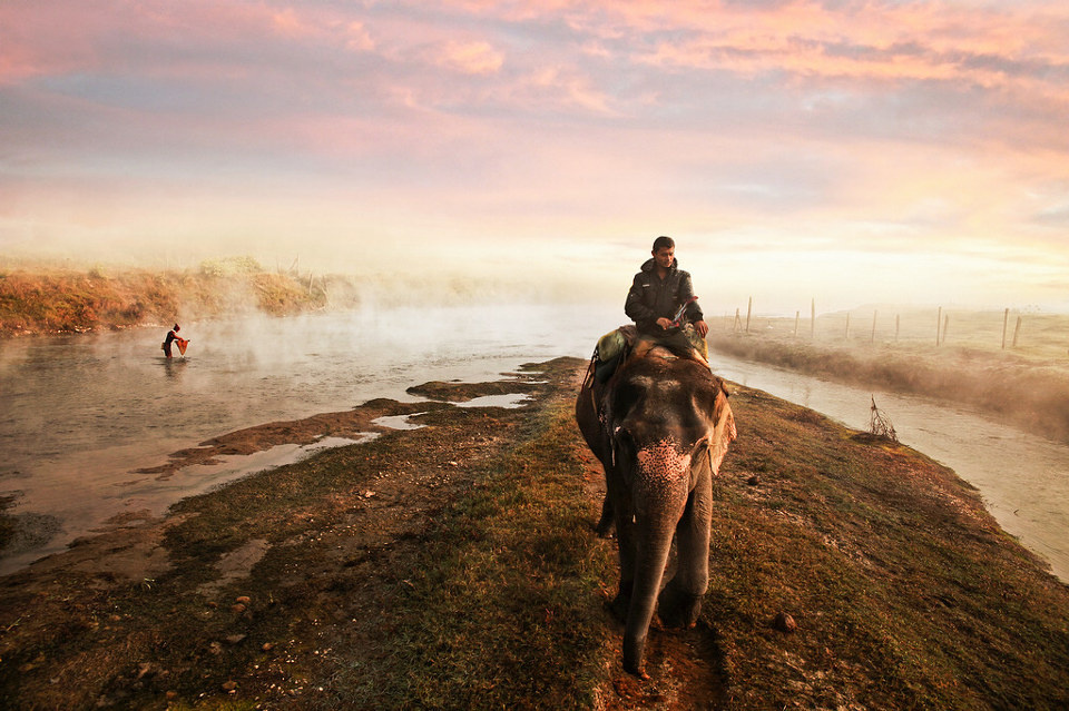 奇特旺·森林公园--(降饱和度) (1) - 尼泊尔风情