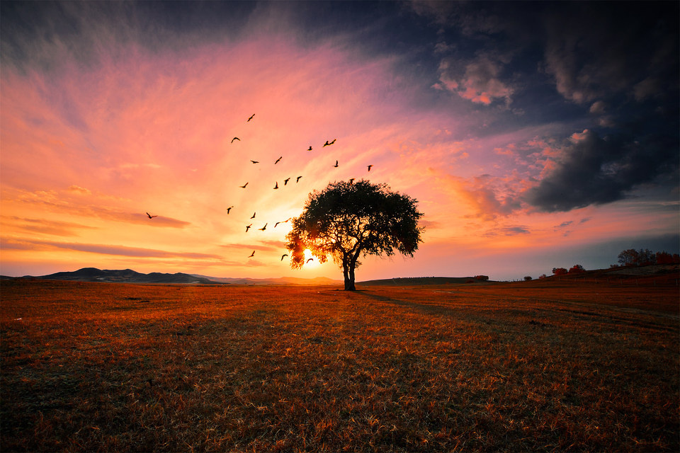 惊鸿散去 - 闭眼缄默 - 图虫热点 - 图虫摄影网