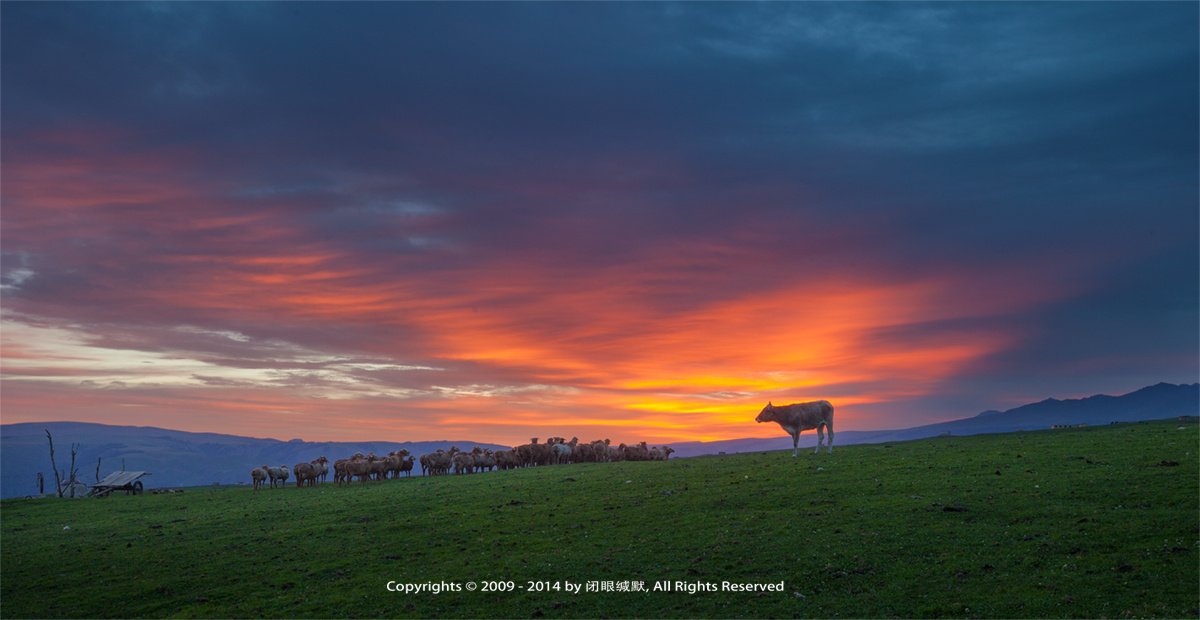 _MG_2788为智能对象-1.jpg-S - 闭眼缄默