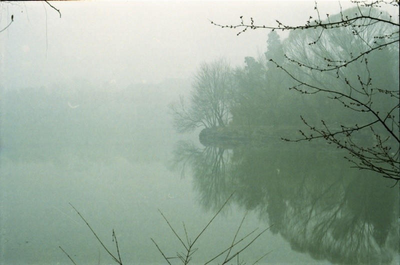 雾中风景 - 50mm, 35mm, F1.4, om-2n, 135, nc, olympus, 160, Portra - evilcarrot - 图虫摄影网