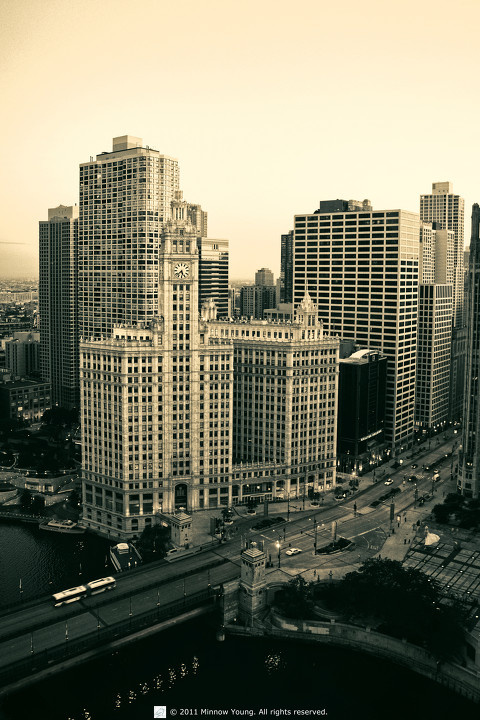 DSC_0293q