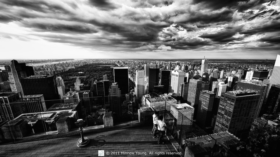 DSC_1538bwq